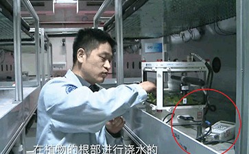 中國宇航員在太空站通過WET-2監測萵苣生長狀況