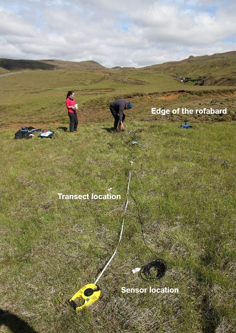 土壤濕度測量案例