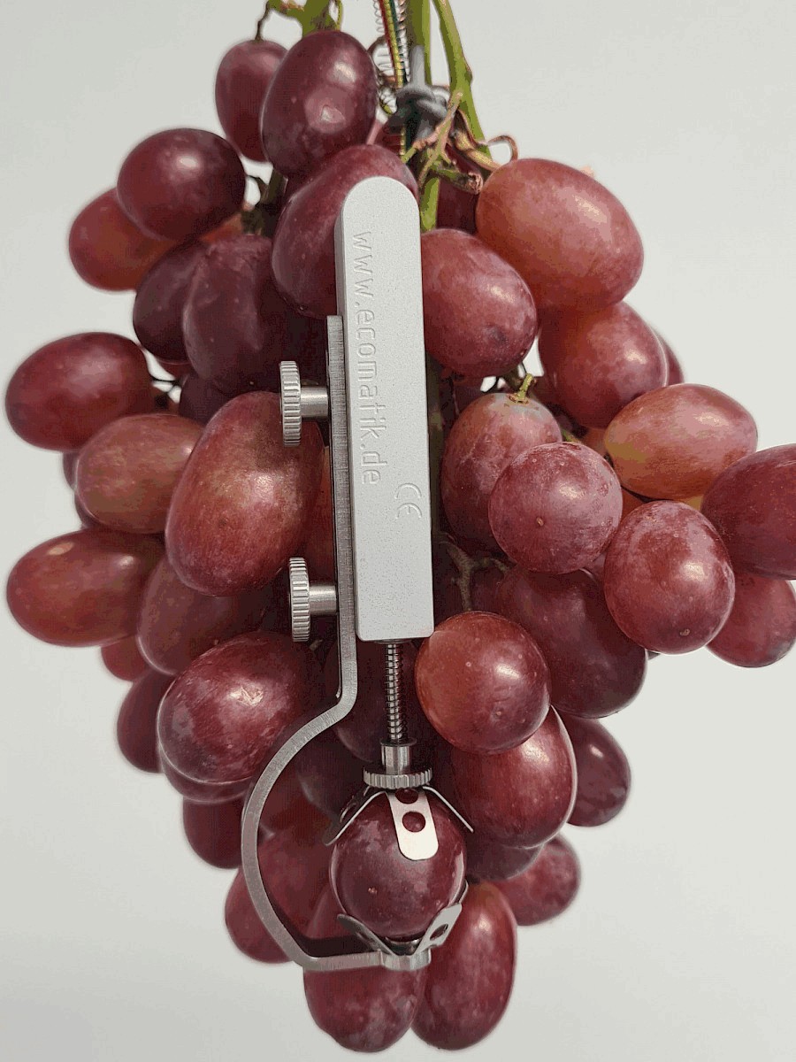 生長測(cè)量傳感器 生長測(cè)量傳感器