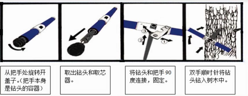 樹木生長錐全攻略