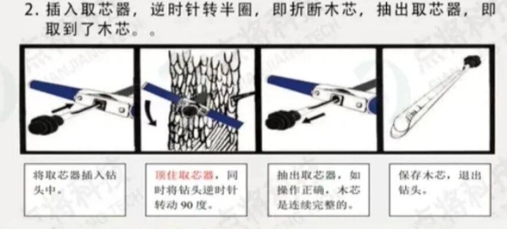 樹木生長錐全攻略