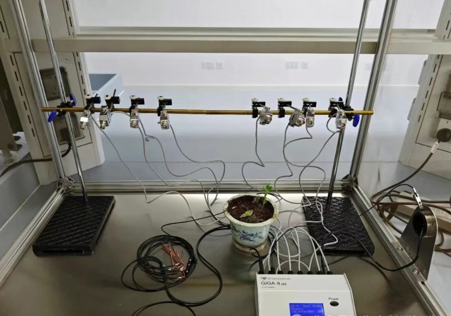 EPG昆蟲刺探電位儀系統
